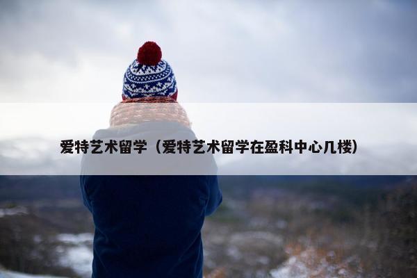 爱特艺术留学（爱特艺术留学在盈科中心几楼）