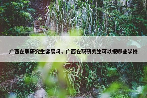 广西在职研究生容易吗，广西在职研究生可以报哪些学校