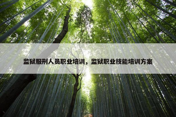 监狱服刑人员职业培训，监狱职业技能培训方案