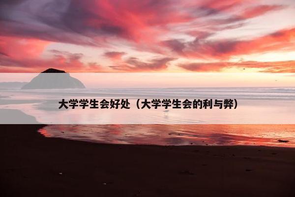 大学学生会好处（大学学生会的利与弊）
