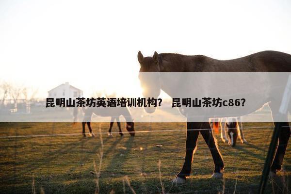 昆明山茶坊英语培训机构？ 昆明山茶坊c86？