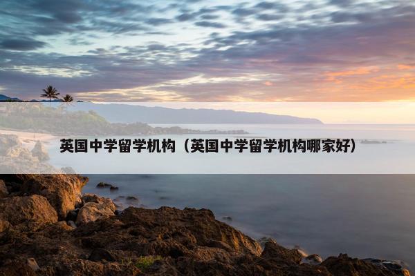 英国中学留学机构（英国中学留学机构哪家好）
