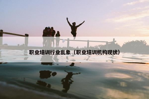 职业培训行业乱象（职业培训机构现状）