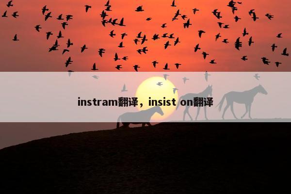 instram翻译，insist on翻译