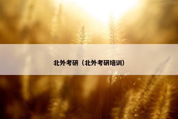北外考研（北外考研培训）