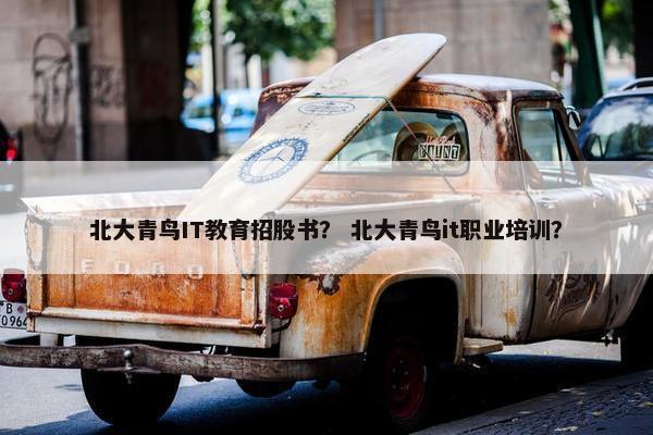 北大青鸟IT教育招股书？ 北大青鸟it职业培训？