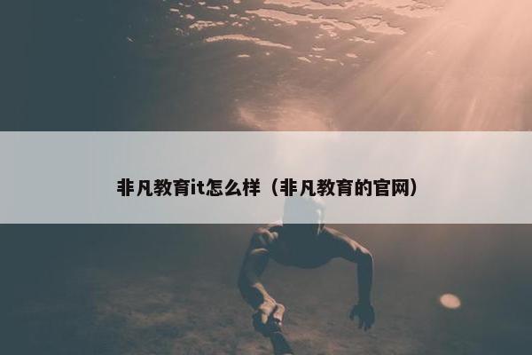 非凡教育it怎么样（非凡教育的官网）