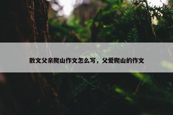 散文父亲爬山作文怎么写，父爱爬山的作文