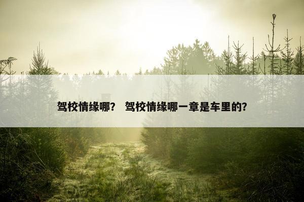 驾校情缘哪？ 驾校情缘哪一章是车里的？