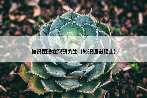 知识图谱在职研究生（知识图谱硕士）