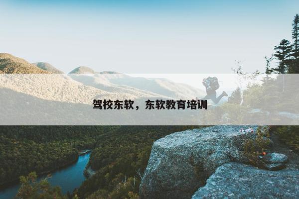 驾校东软，东软教育培训