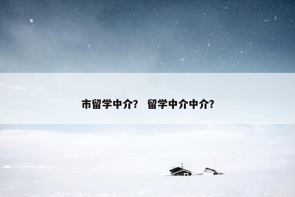 市留学中介？ 留学中介中介？