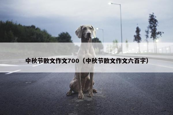 中秋节散文作文700（中秋节散文作文六百字）