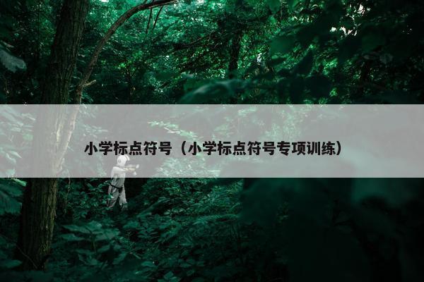 小学标点符号（小学标点符号专项训练）
