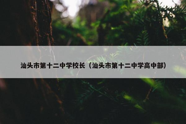 汕头市第十二中学校长（汕头市第十二中学高中部）