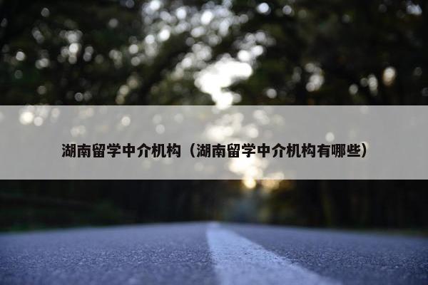湖南留学中介机构（湖南留学中介机构有哪些）
