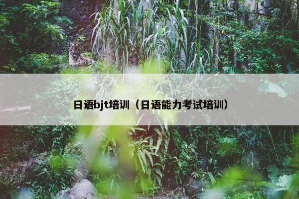 日语bjt培训（日语能力考试培训）
