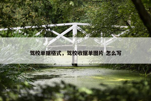 驾校单据格式，驾校收据单图片 怎么写