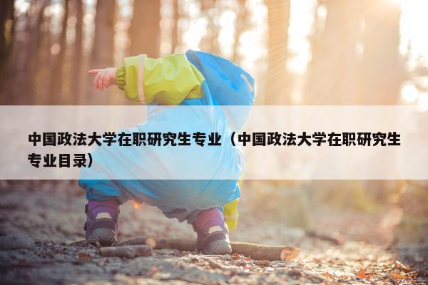 中国政法大学在职研究生专业（中国政法大学在职研究生专业目录）
