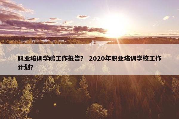 职业培训学鹇工作报告？ 2020年职业培训学校工作计划？