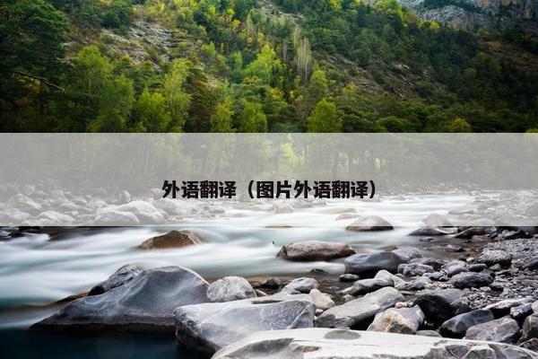 外语翻译（图片外语翻译）
