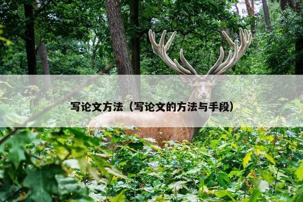 写论文方法（写论文的方法与手段）