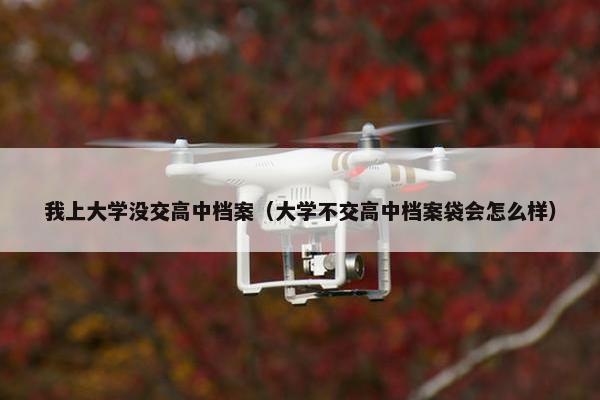 我上大学没交高中档案（大学不交高中档案袋会怎么样）