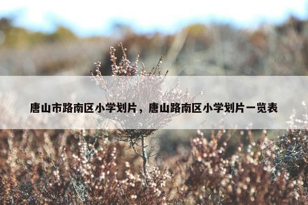 唐山市路南区小学划片，唐山路南区小学划片一览表