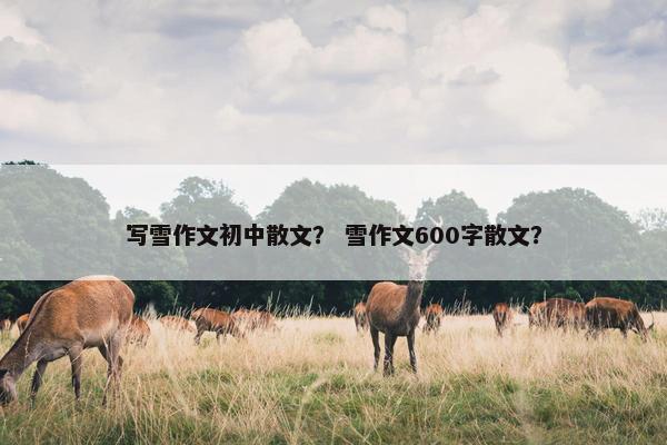 写雪作文初中散文？ 雪作文600字散文？