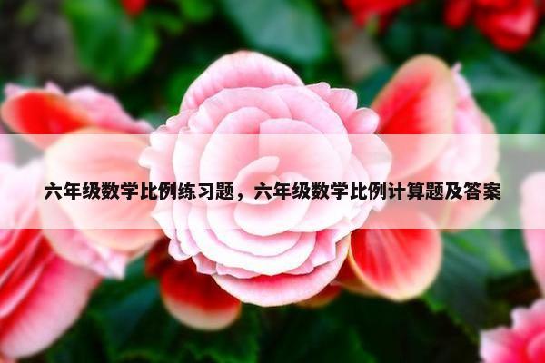 六年级数学比例练习题，六年级数学比例计算题及答案