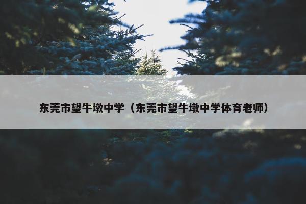 东莞市望牛墩中学（东莞市望牛墩中学体育老师）