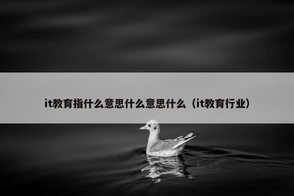 it教育指什么意思什么意思什么（it教育行业）