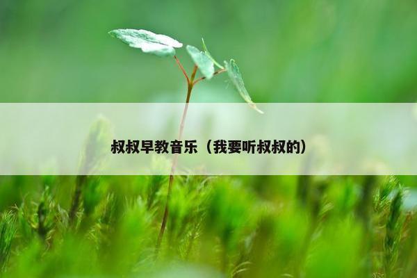 叔叔早教音乐（我要听叔叔的）