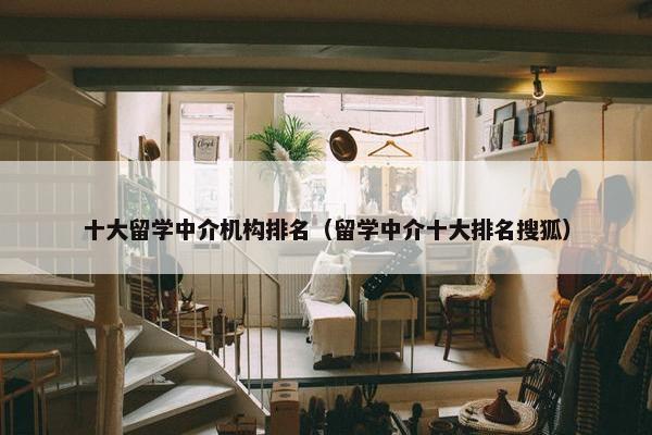 十大留学中介机构排名（留学中介十大排名搜狐）