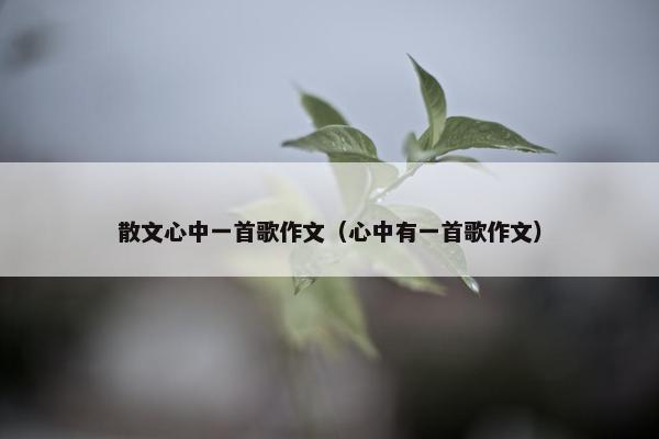 散文心中一首歌作文（心中有一首歌作文）