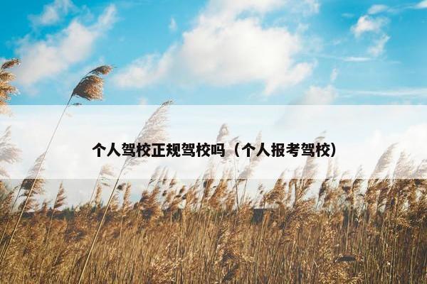 个人驾校正规驾校吗（个人报考驾校）