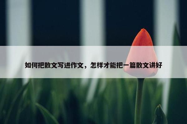 如何把散文写进作文，怎样才能把一篇散文讲好