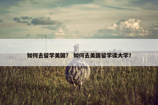如何去留学美国？ 如何去美国留学读大学？