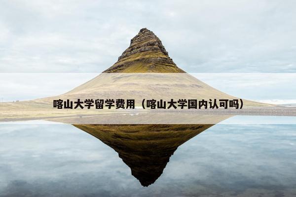 喀山大学留学费用（喀山大学国内认可吗）