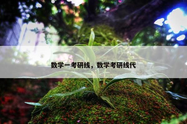 数学一考研线，数学考研线代