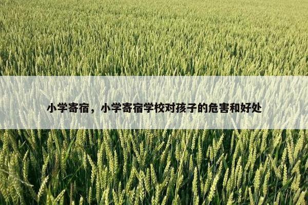 小学寄宿，小学寄宿学校对孩子的危害和好处