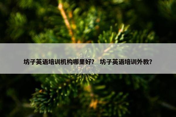 坊子英语培训机构哪里好？ 坊子英语培训外教？