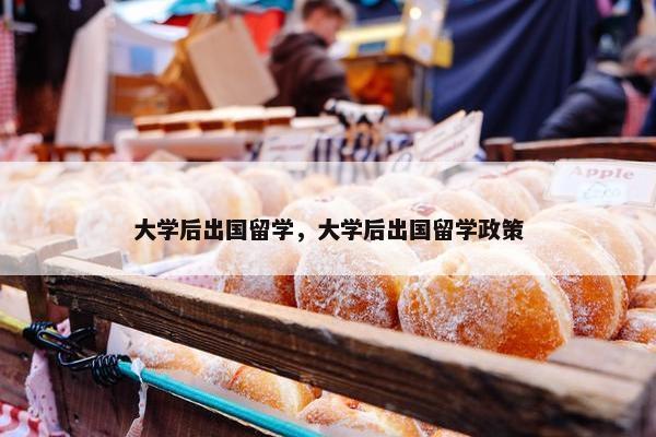 大学后出国留学，大学后出国留学政策