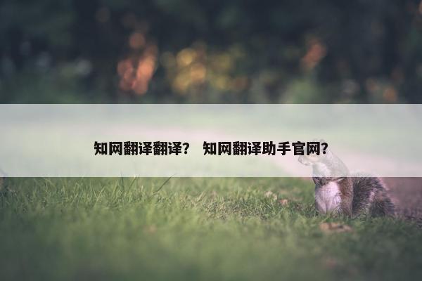 知网翻译翻译？ 知网翻译助手官网？