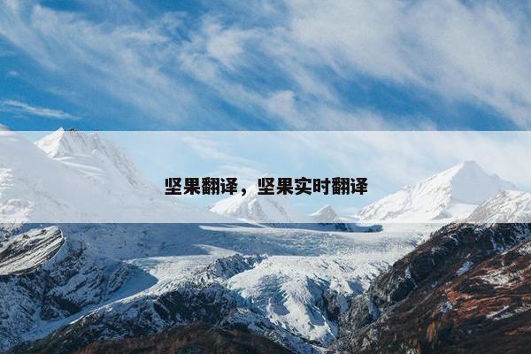 坚果翻译，坚果实时翻译