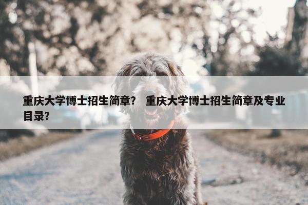 重庆大学博士招生简章？ 重庆大学博士招生简章及专业目录？