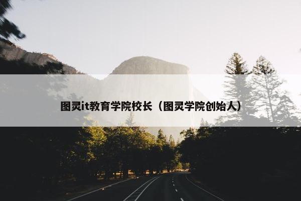 图灵it教育学院校长（图灵学院创始人）