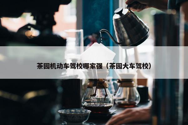 茶园机动车驾校哪家强（茶园大车驾校）