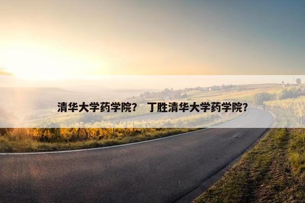 清华大学药学院？ 丁胜清华大学药学院？