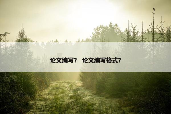 论文编写？ 论文编写格式？